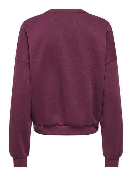 ONLLAUREN L/S O-NECK CS JRS