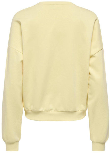 ONLLAUREN L/S O-NECK CS JRS