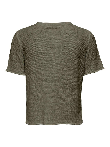 ONLSUNNY S/S PULLOVER KNT NOO
