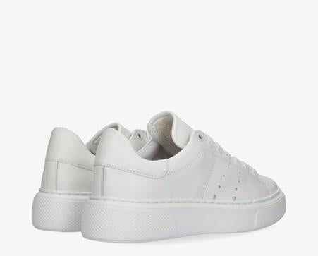 Alex 2-h white leather sneaker