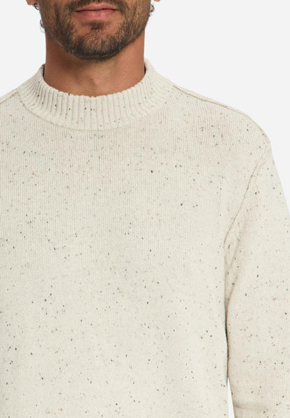 Pullover turtle with wool