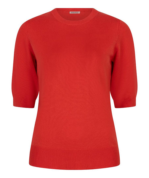 Sweater s/slve r/neck basic kn