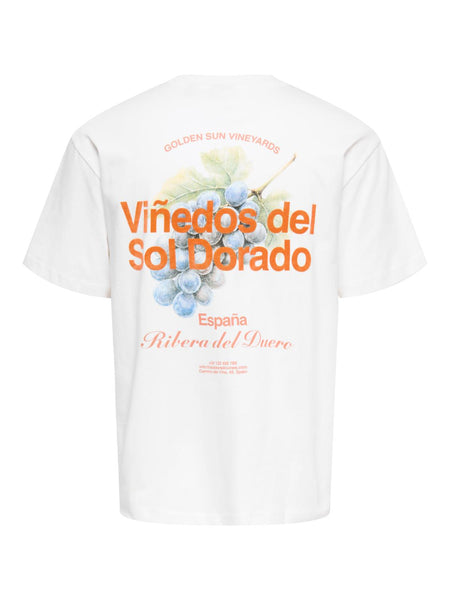 ONSFRED LIFE RLX SS PRINT TEE