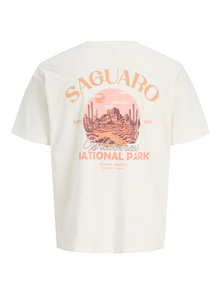 JORSAG TEE SS CREW NECK STYD