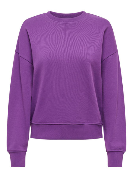 ONLCATRIN L/S O-NECK TEDDY UB