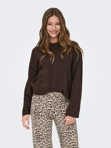 ONLSIMONI L/S O-NECK PULLOVER