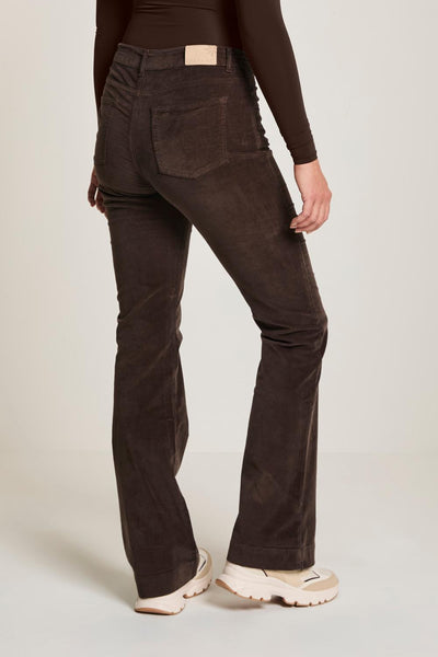 Jade velvet deep brown