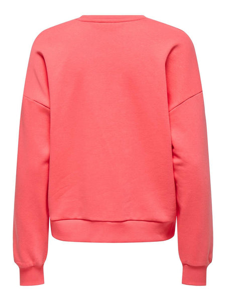 ONLJOANA L/S LEO O-NECK CS SW