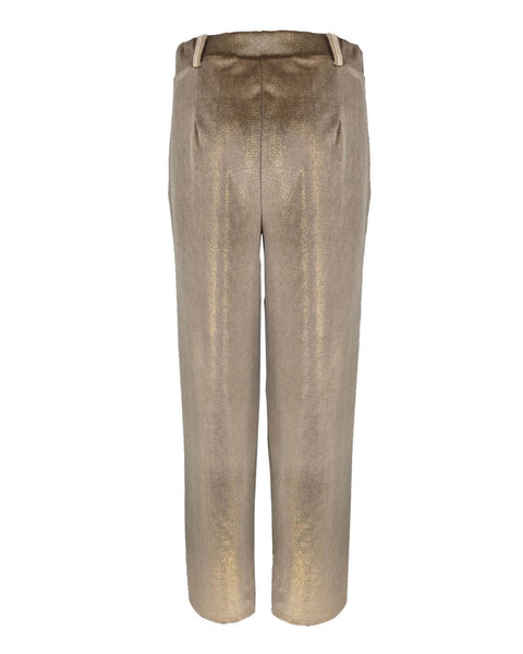 Broek bentha velours lurex