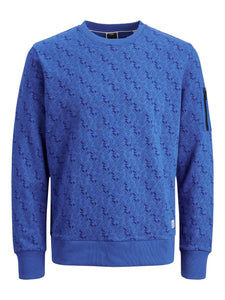 JCOLOGAN AOP SWEAT CREW NECK