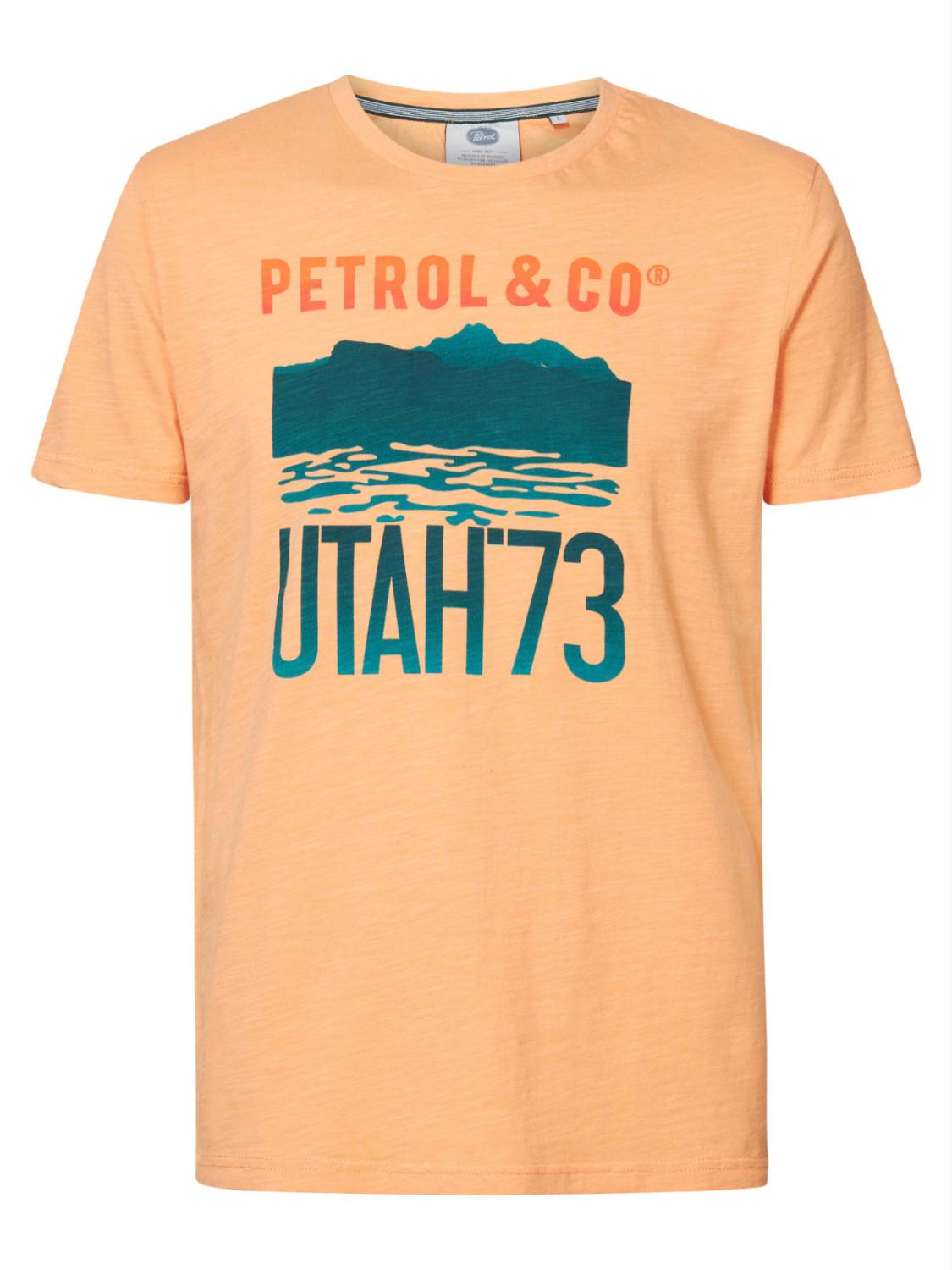 Men t-shirt ss classic print